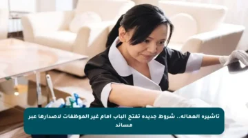 تأشيرة العمالة.. شروط جديدة تفتح الباب أمام غير الموظفات لإصدارها عبر مساند
